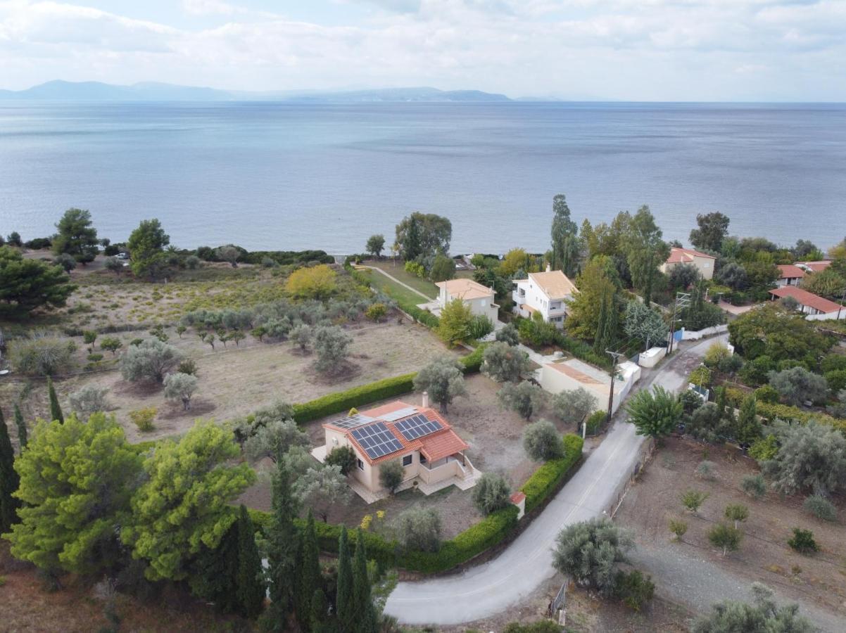 House - με μεγάλο κήπο Holiday home *