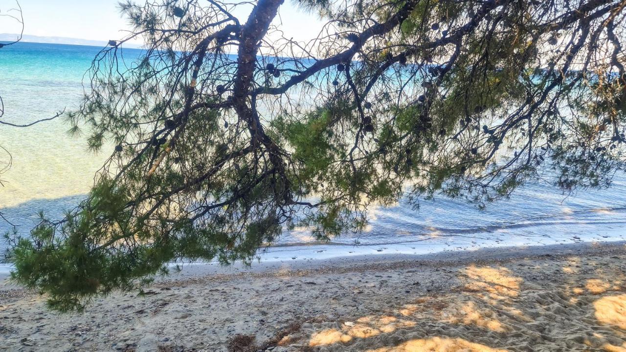 Luxury In Akti Elias Sithonia