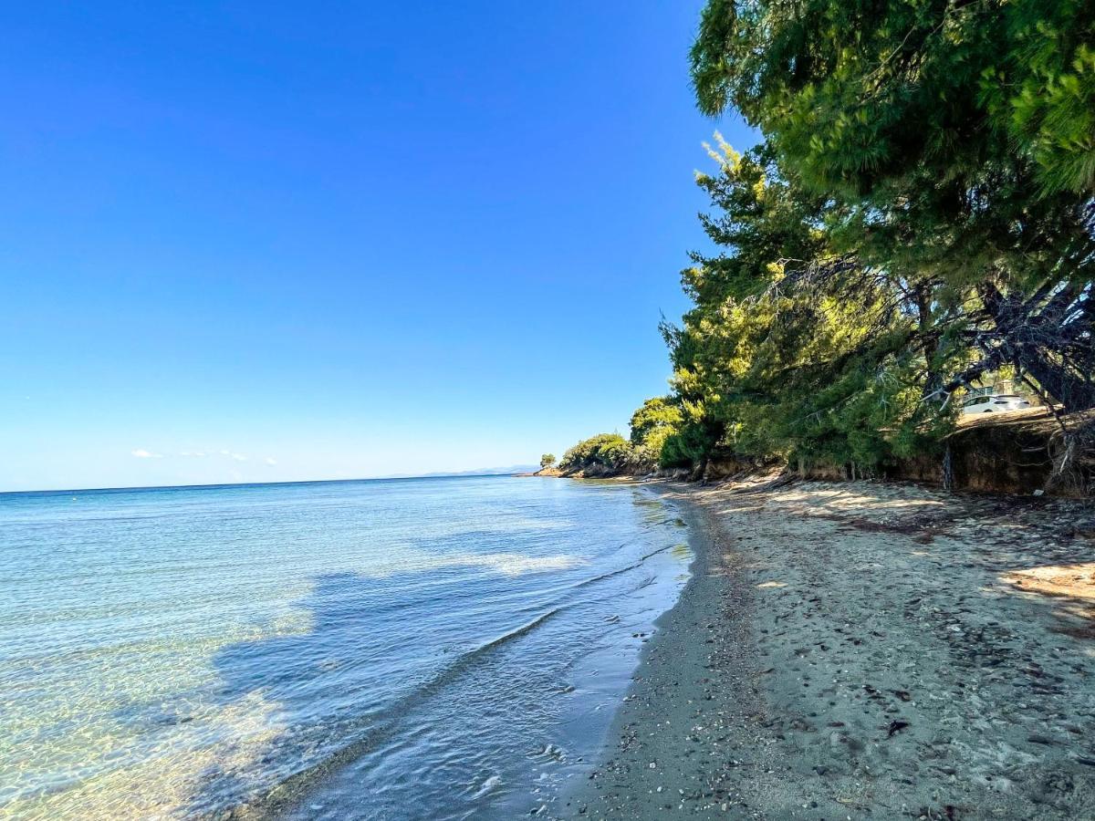 Luxury In Akti Elias Sithonia *