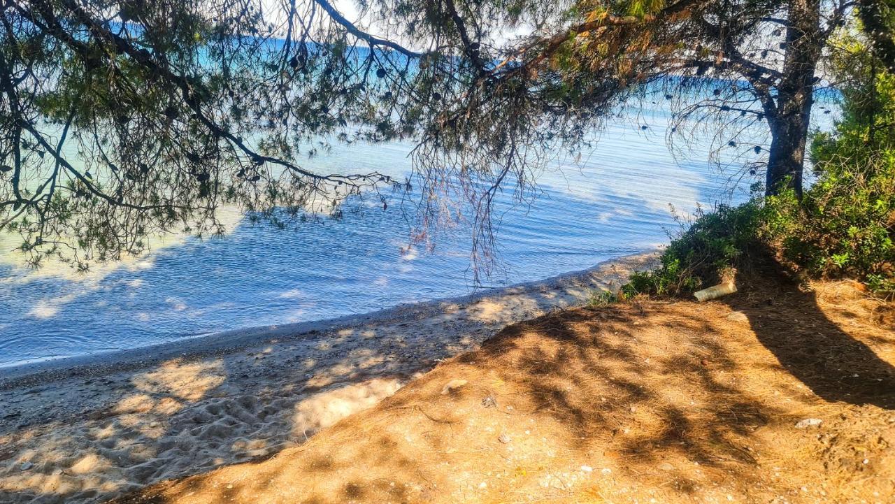 Luxury In Akti Elias Sithonia Lagomandra