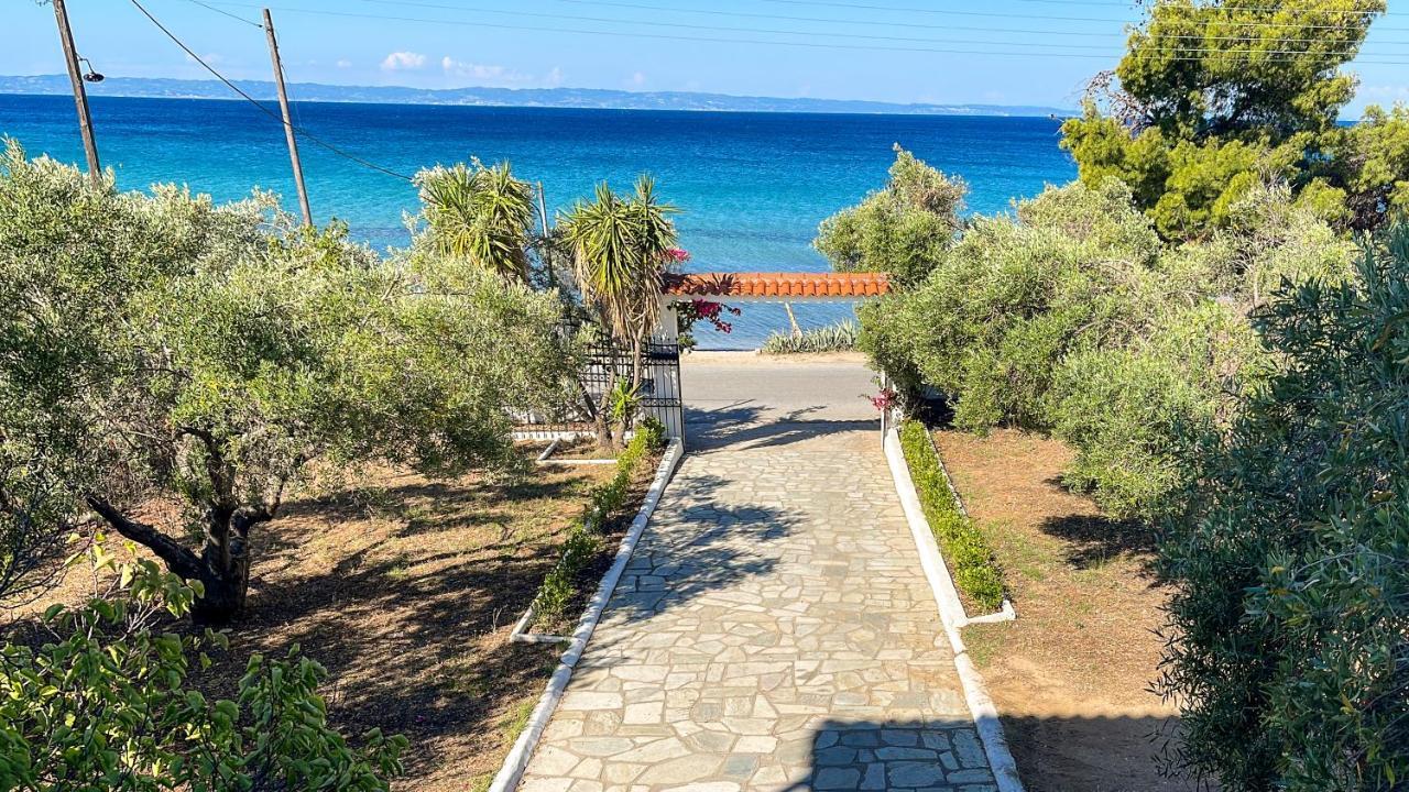 Luxury In Akti Elias Sithonia * Lagomandra