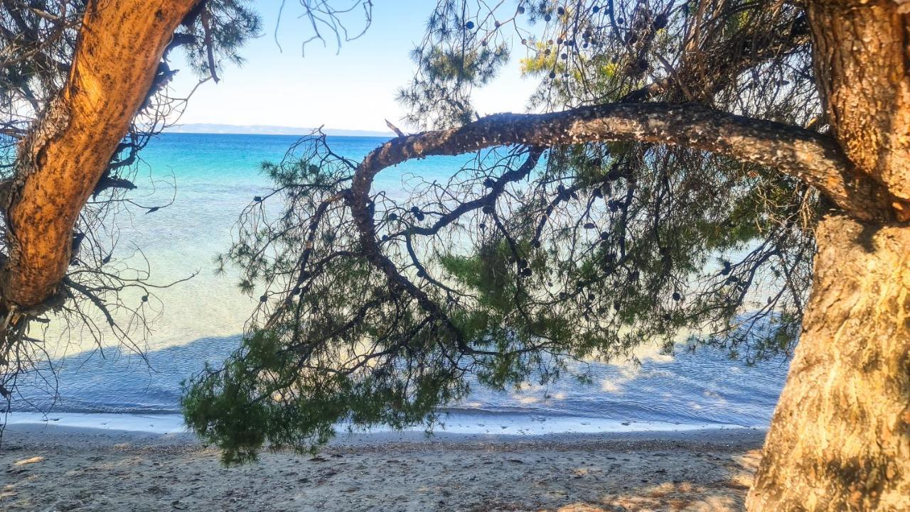 Luxury In Akti Elias Sithonia Apartment Lagomandra