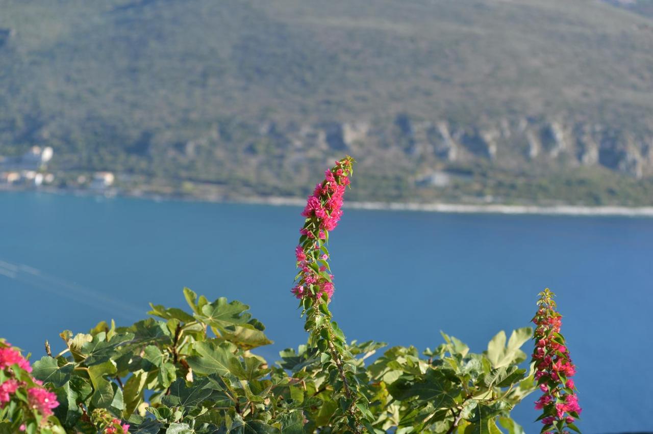 Akrolithi Boutique &