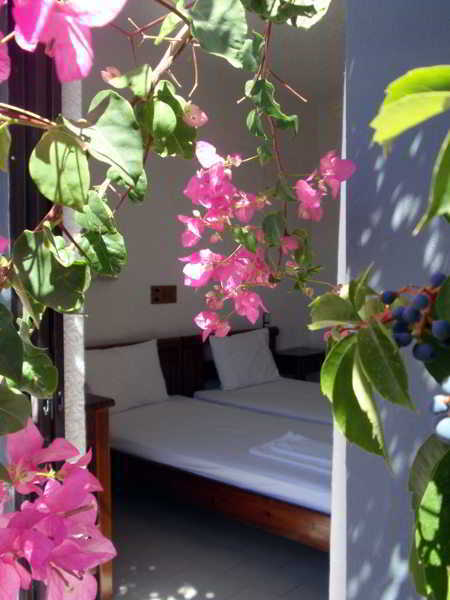 Hotel Fevro