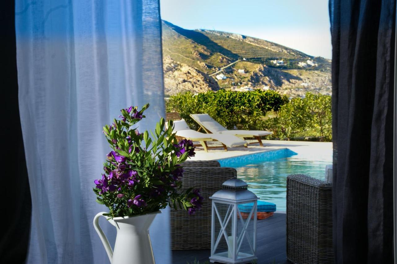 House With Private Pool *
