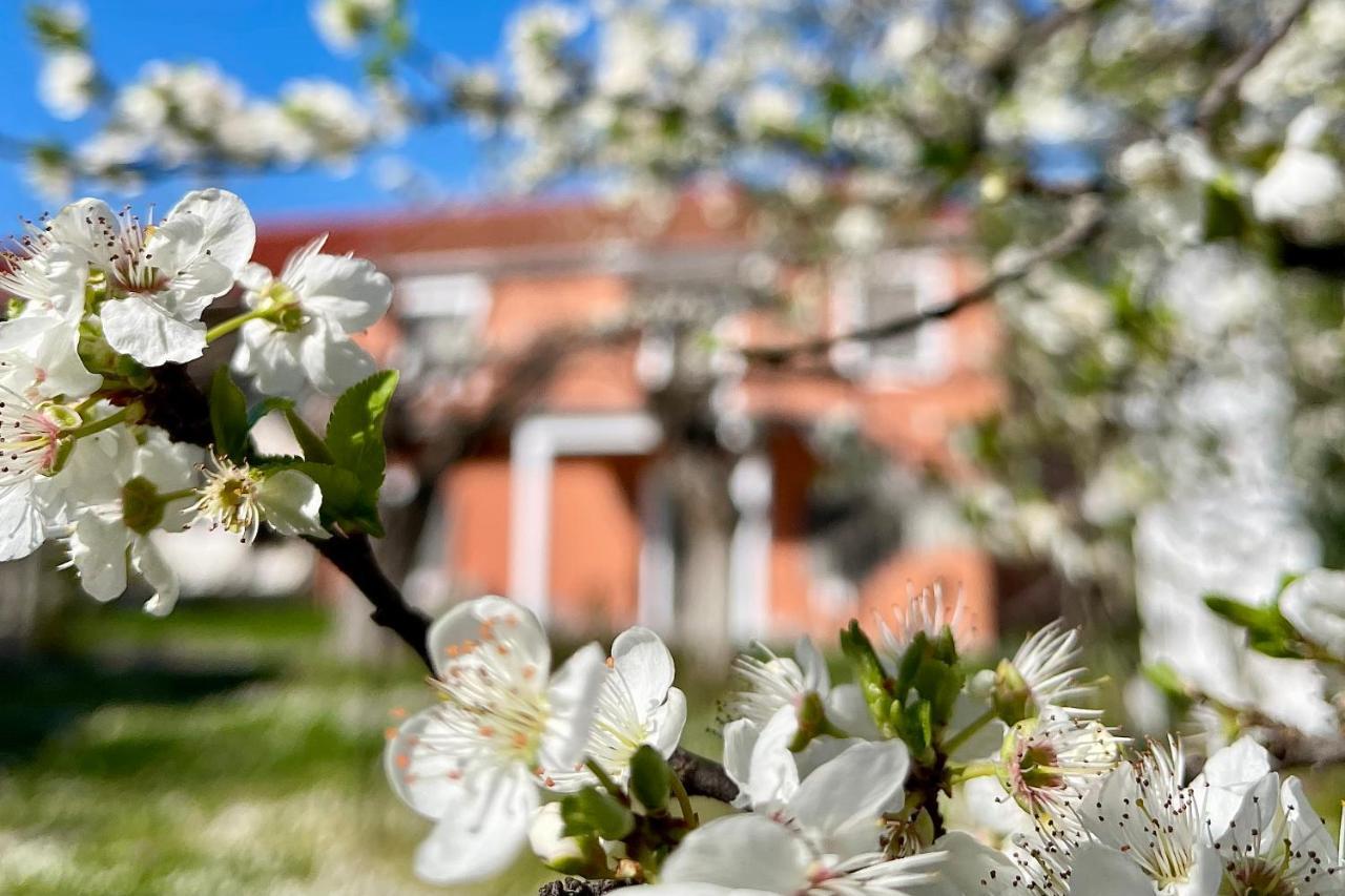 Casa Delicosta- 2 Flat With Garden, 15 Min From