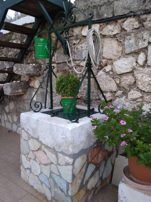 Dimitra's Cozy Apartment Dilinata
