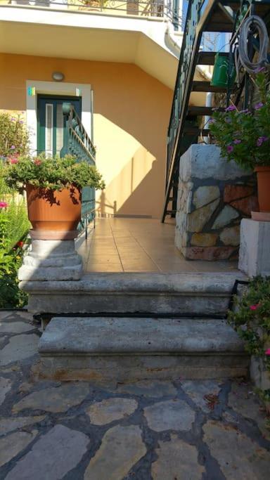 Dimitra's Cozy