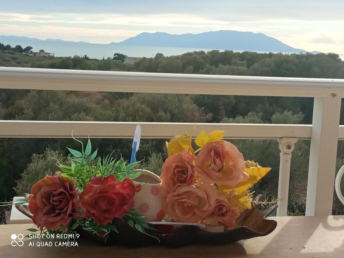 Apartment Bella-caza