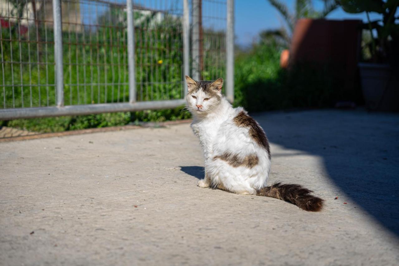 Kotrona - Zakynthos Argassi