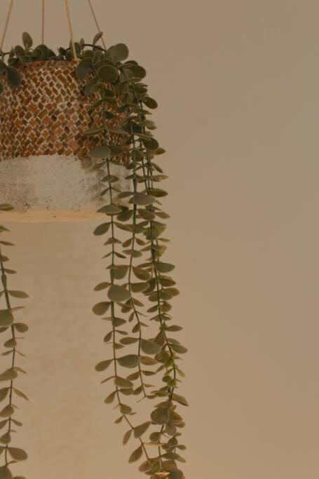 Myrtus Apartment *