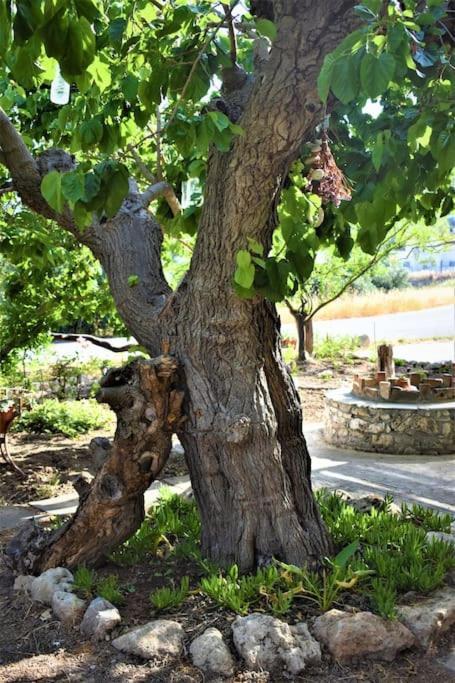 Dolichi House * Pythagoreio (Samos)
