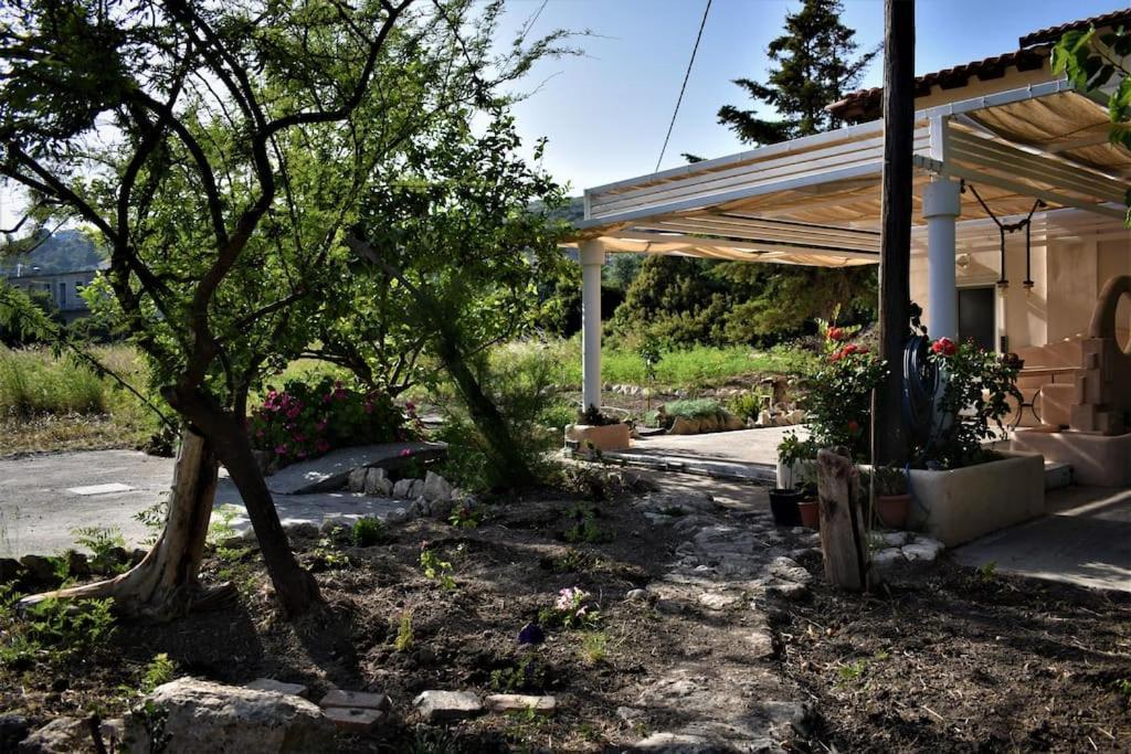 Dolichi House Pythagoreio (Samos)