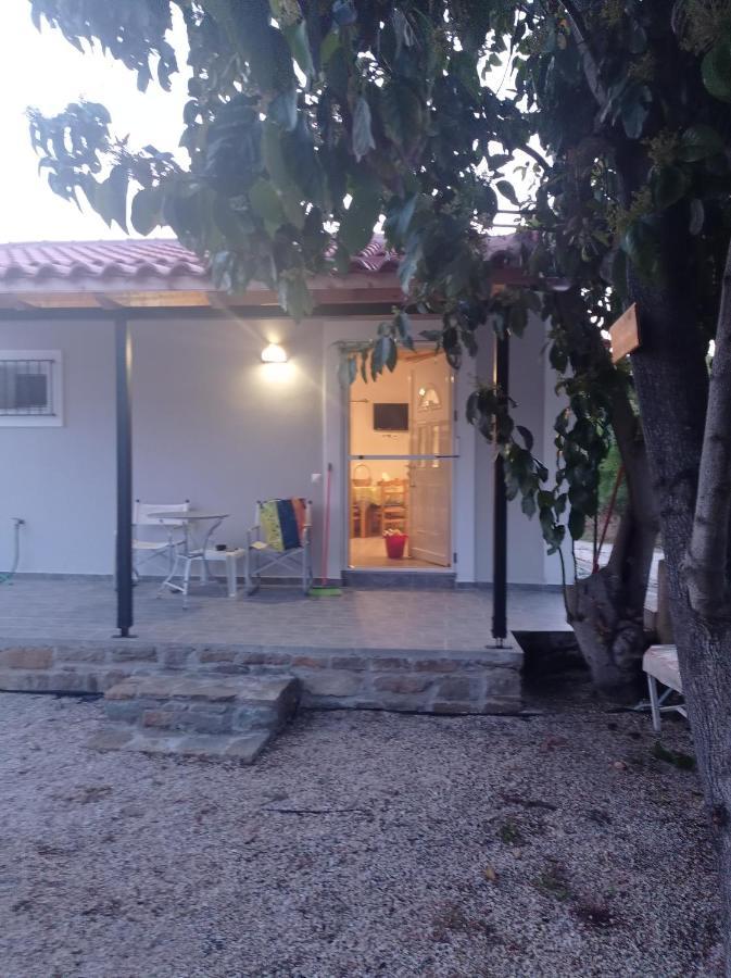 Avocado House Holiday home Finikounta