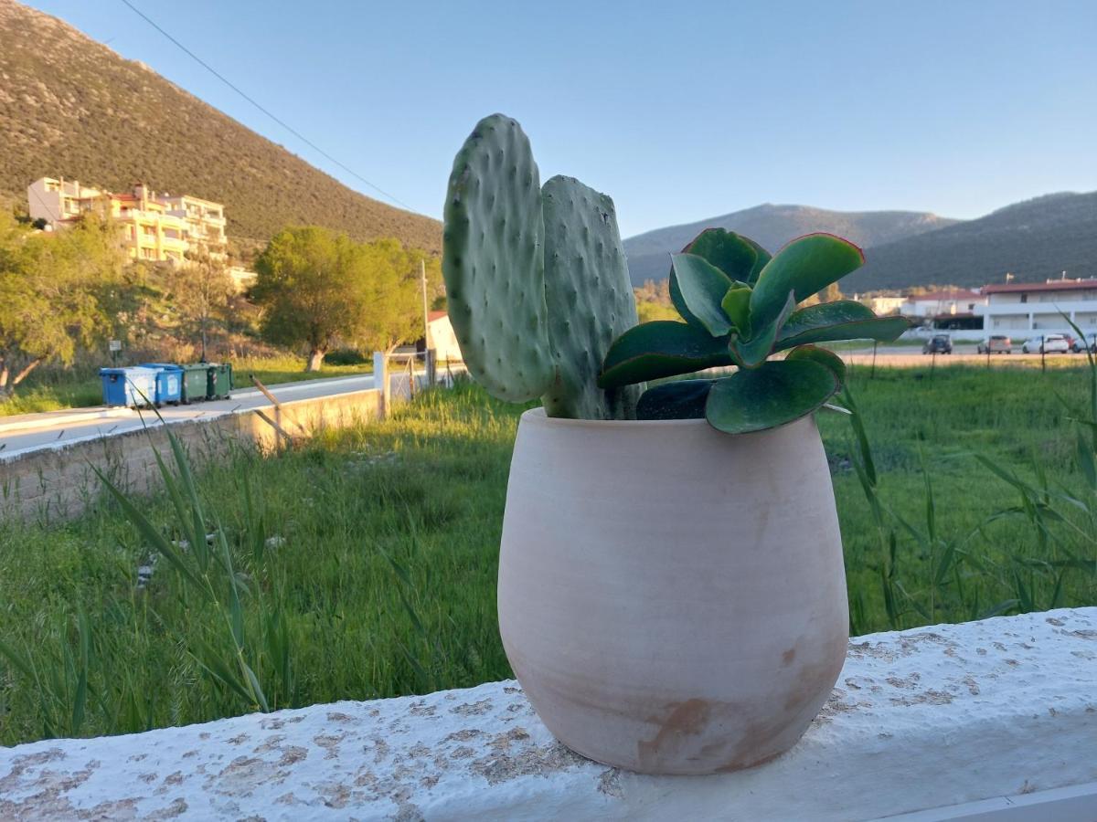 Apartment Vitamin Sea 4, άνετο διαμέρισμα. *