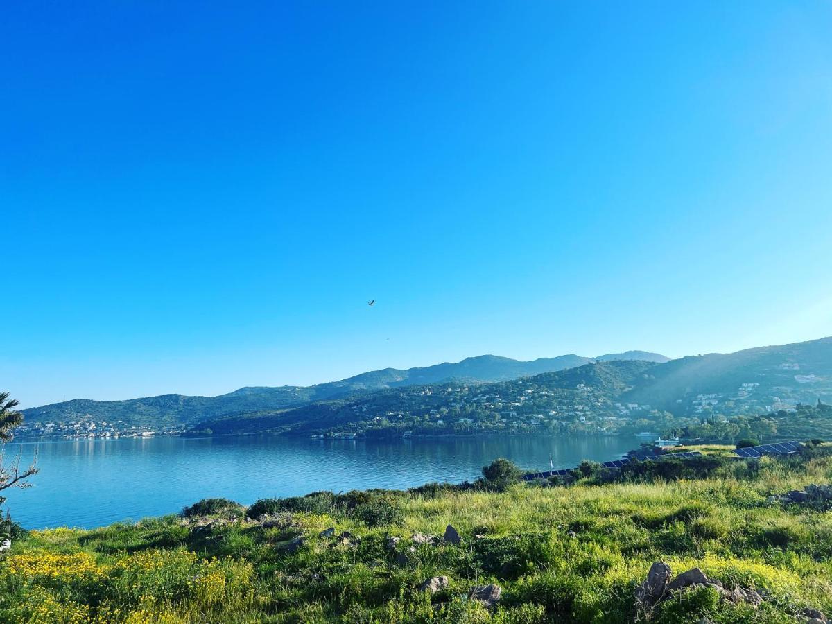 Perdika's Nest, Family Friendly House By The Sea * Perdika (Aegina)