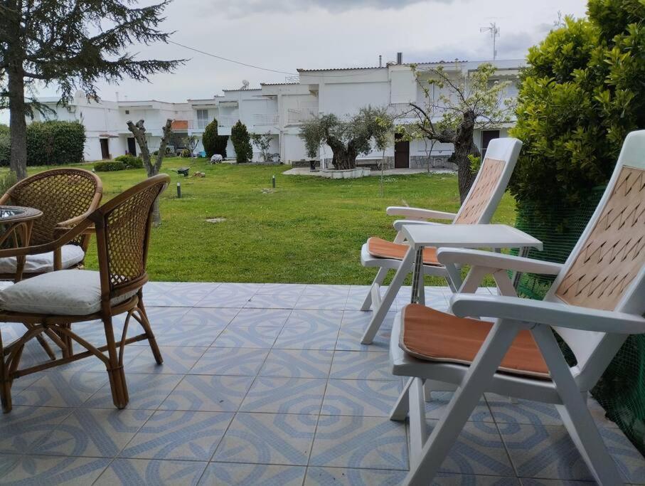 7 Seas House Holiday home *