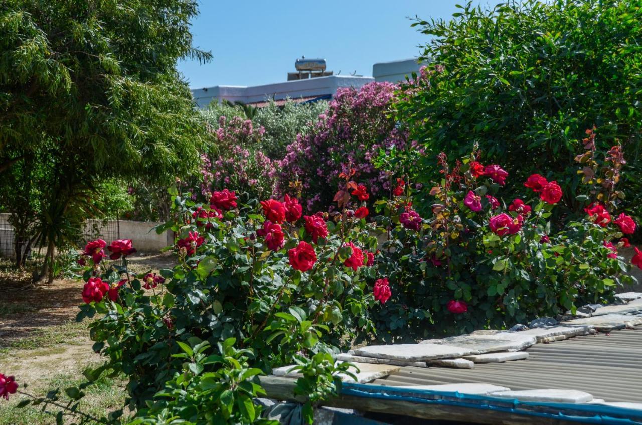 Golden Glyfada Apartment