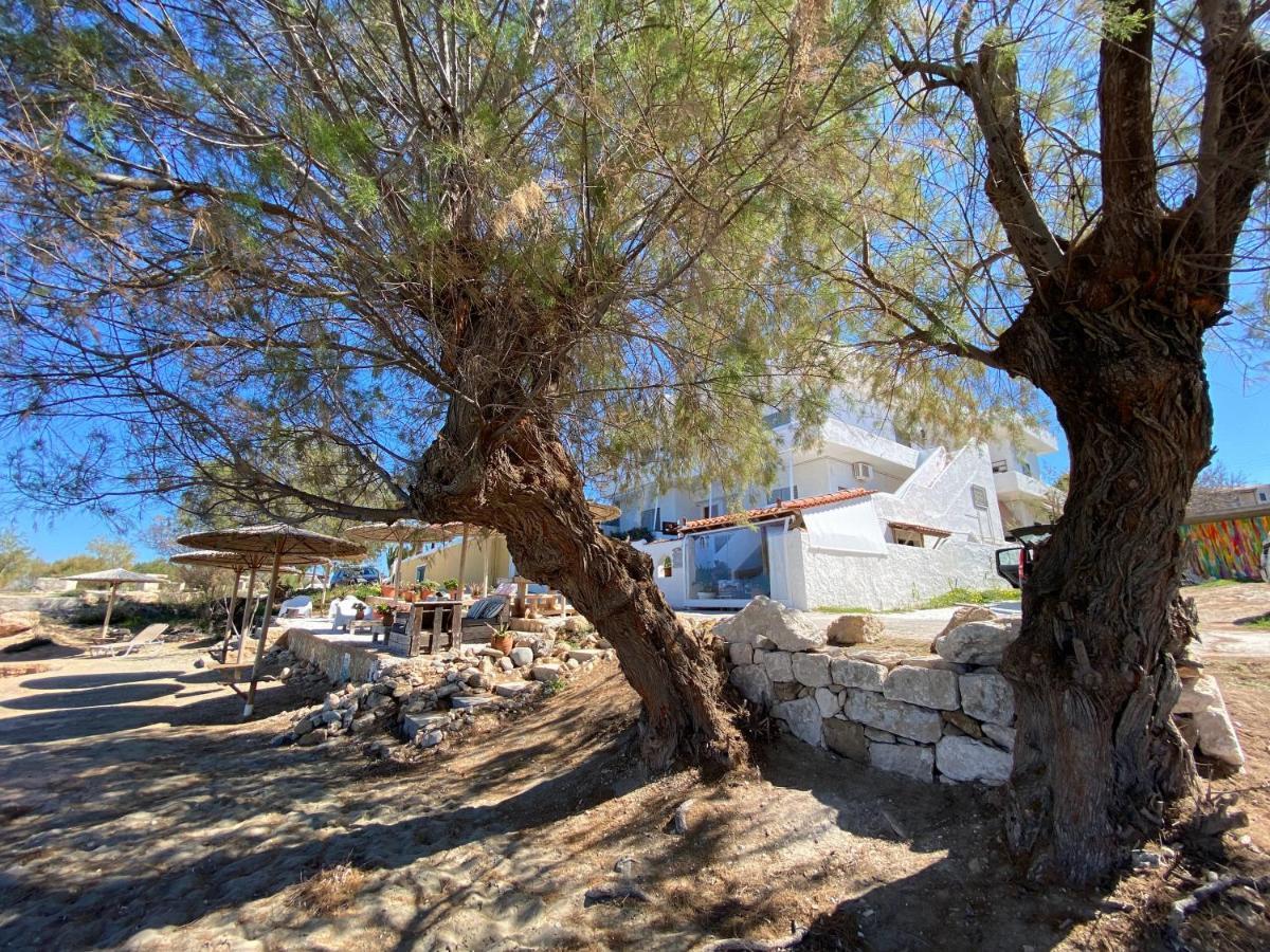 The Beachhouse * Vagia (Aegina)