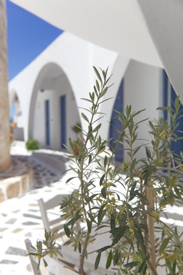 Aparthotel The Milos Megalochori (Agistri)