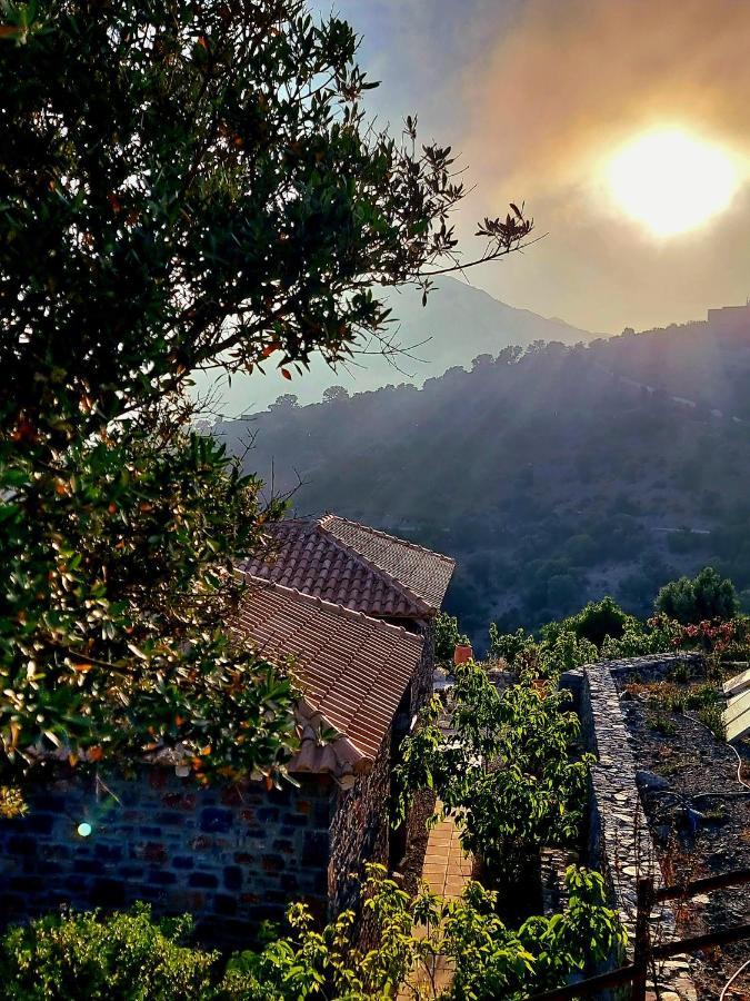 Villa Palazzo Greco Agia Galini (Crete)