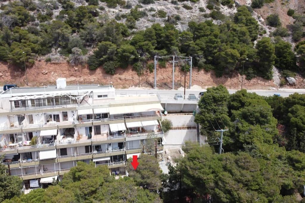 Apartment Albatros