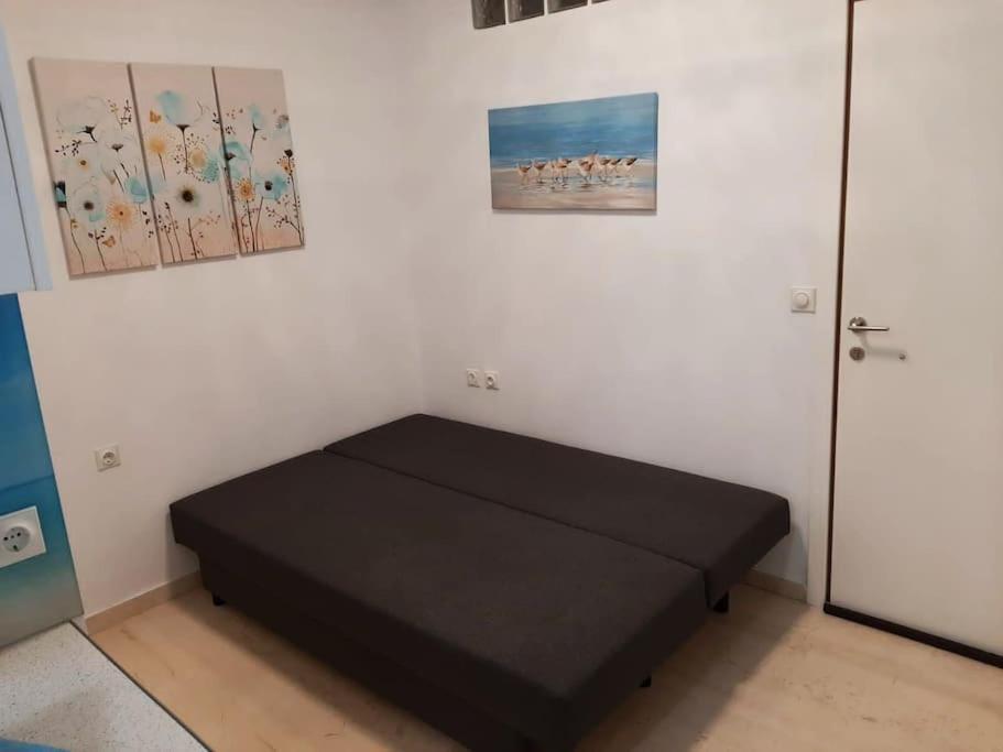 Apartment Albatros *