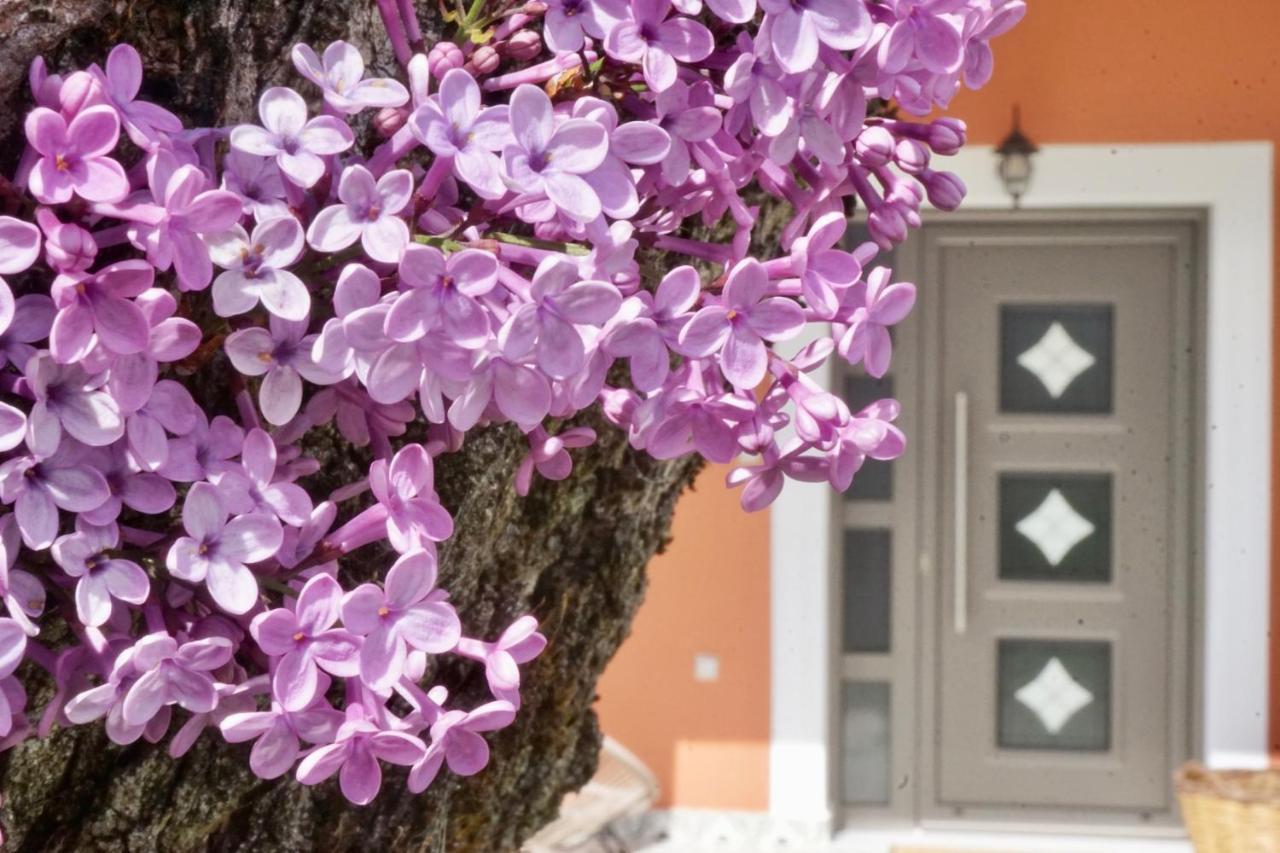 Apartment Casa Delicosta- 2 Flat With Garden, 15 Min From