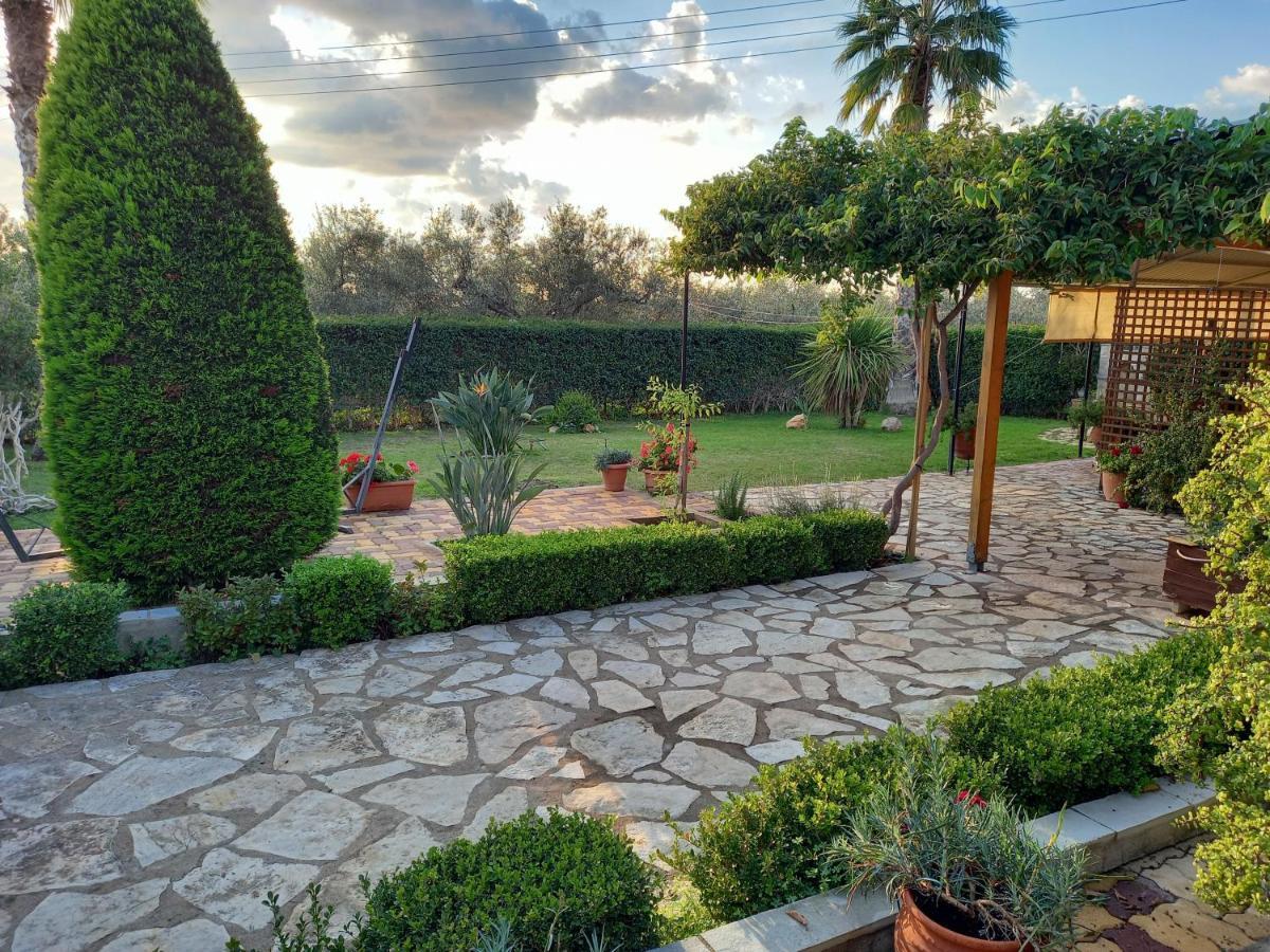 Holiday home Olives House