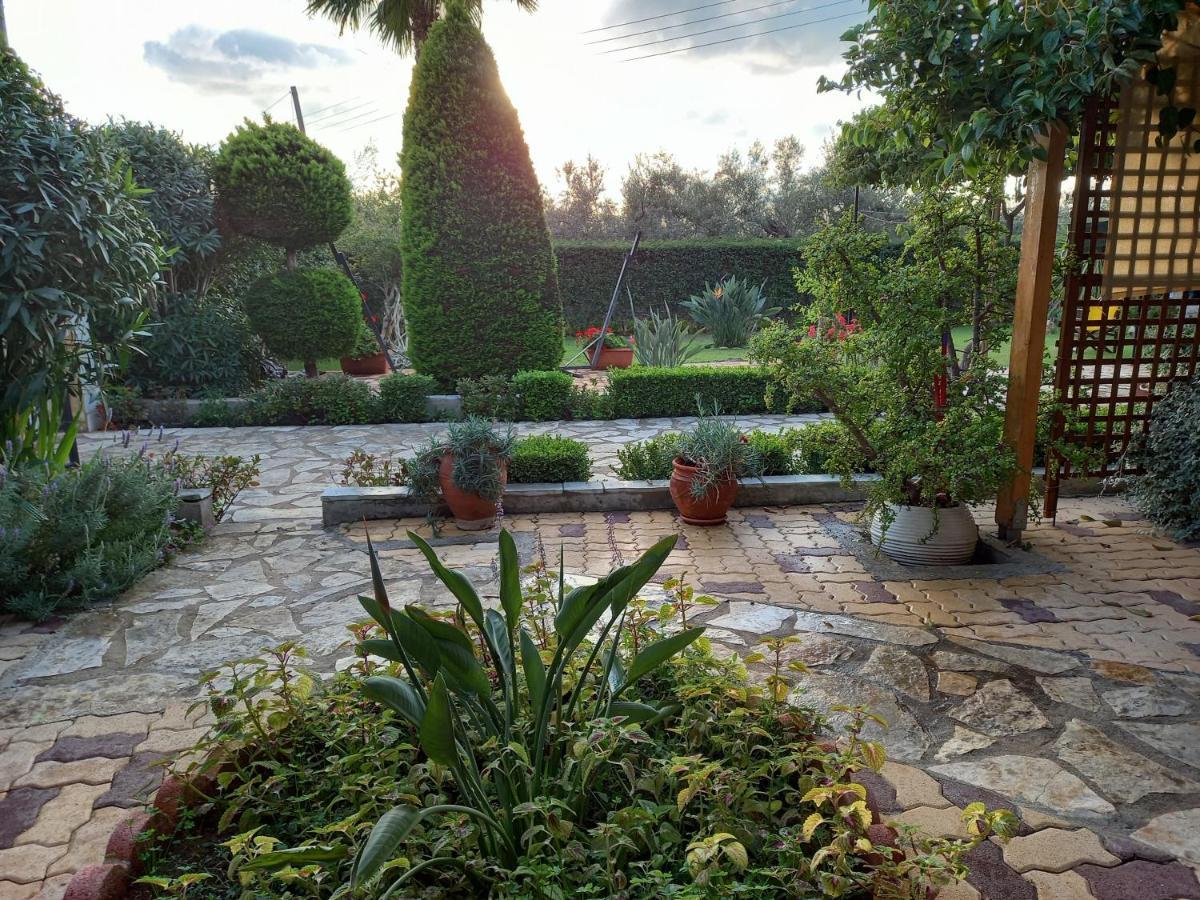 Olives House Holiday home Vromonerion