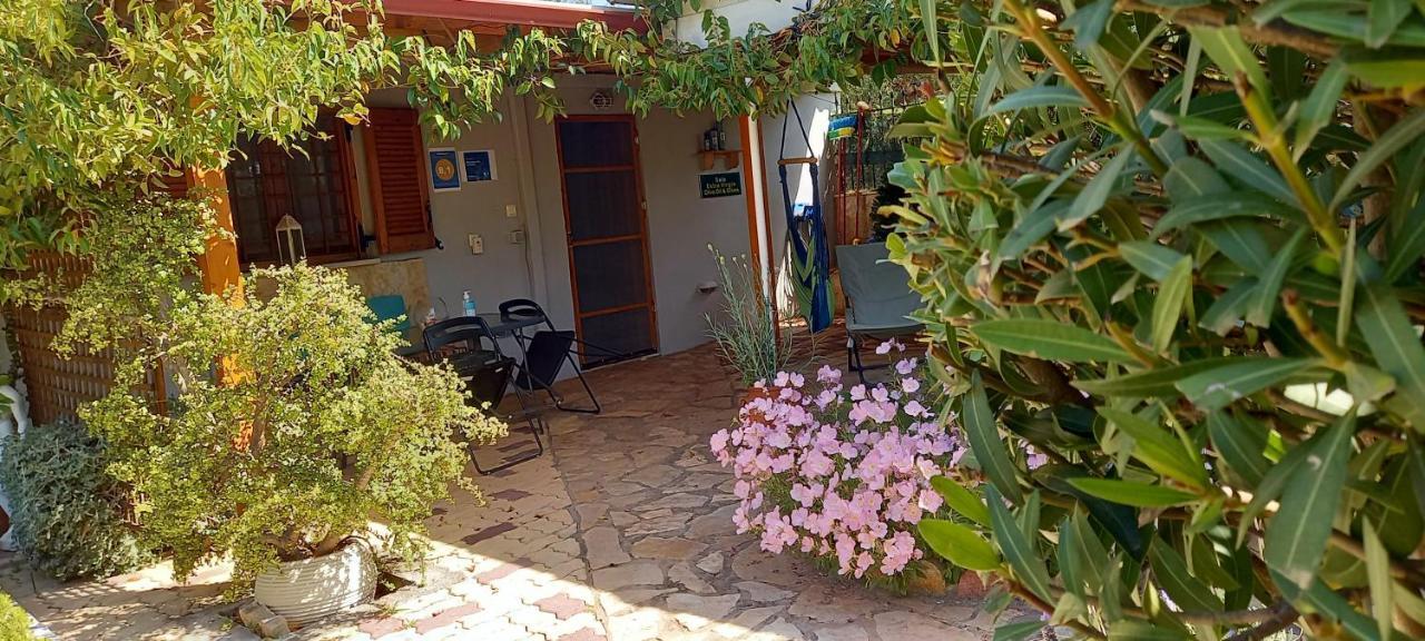 Olives House