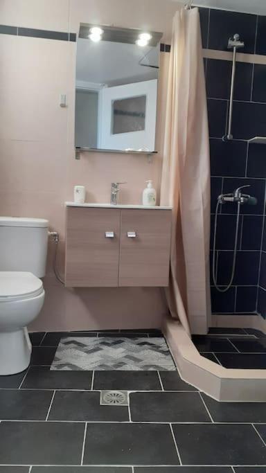 βαγγέλης Apartment Karditsa
