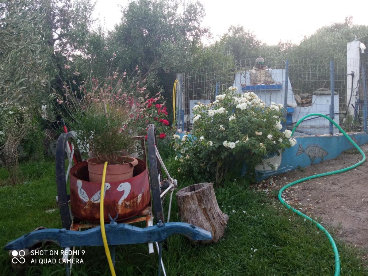 Apartment Bella-caza Makri