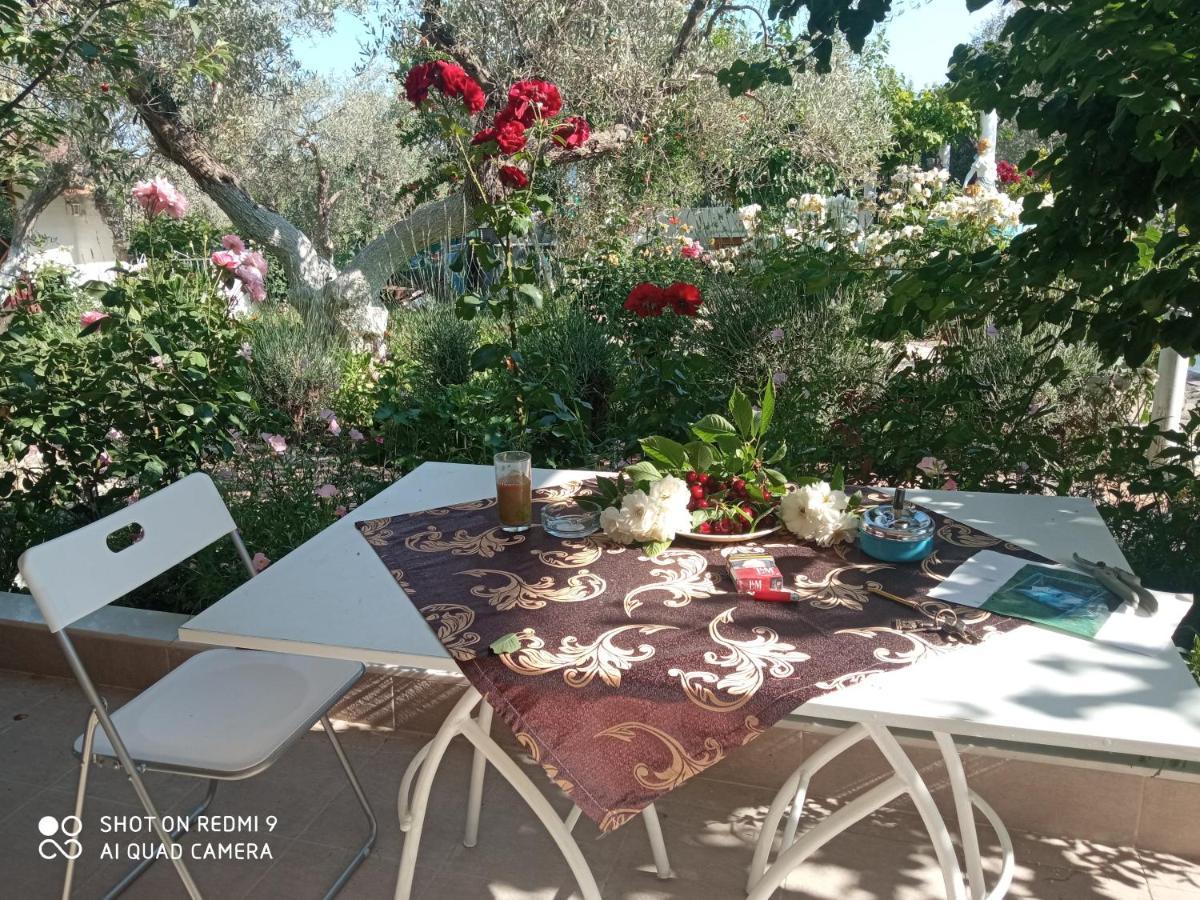 Apartment Bella-caza