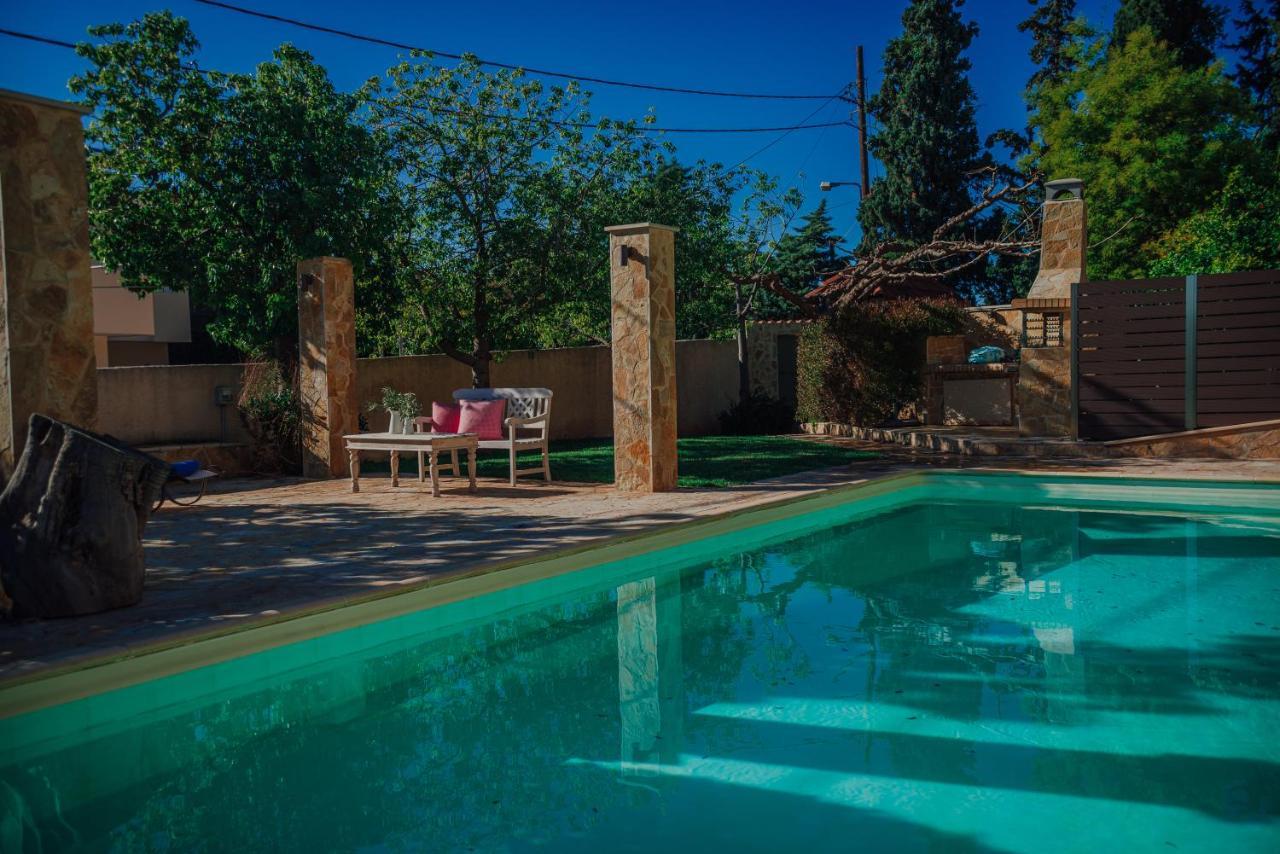 Pool And Sea View Apartment Agia Marina (Attica)