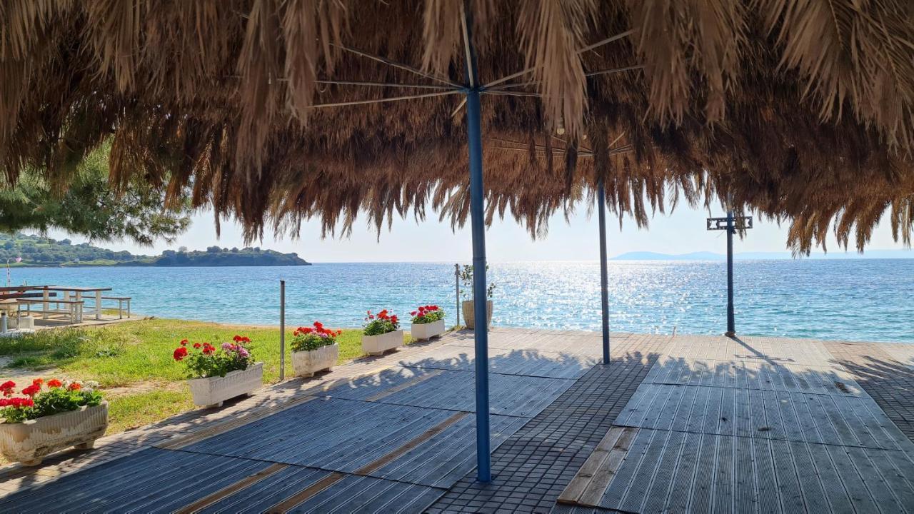 Apartment Pearl Toroni
