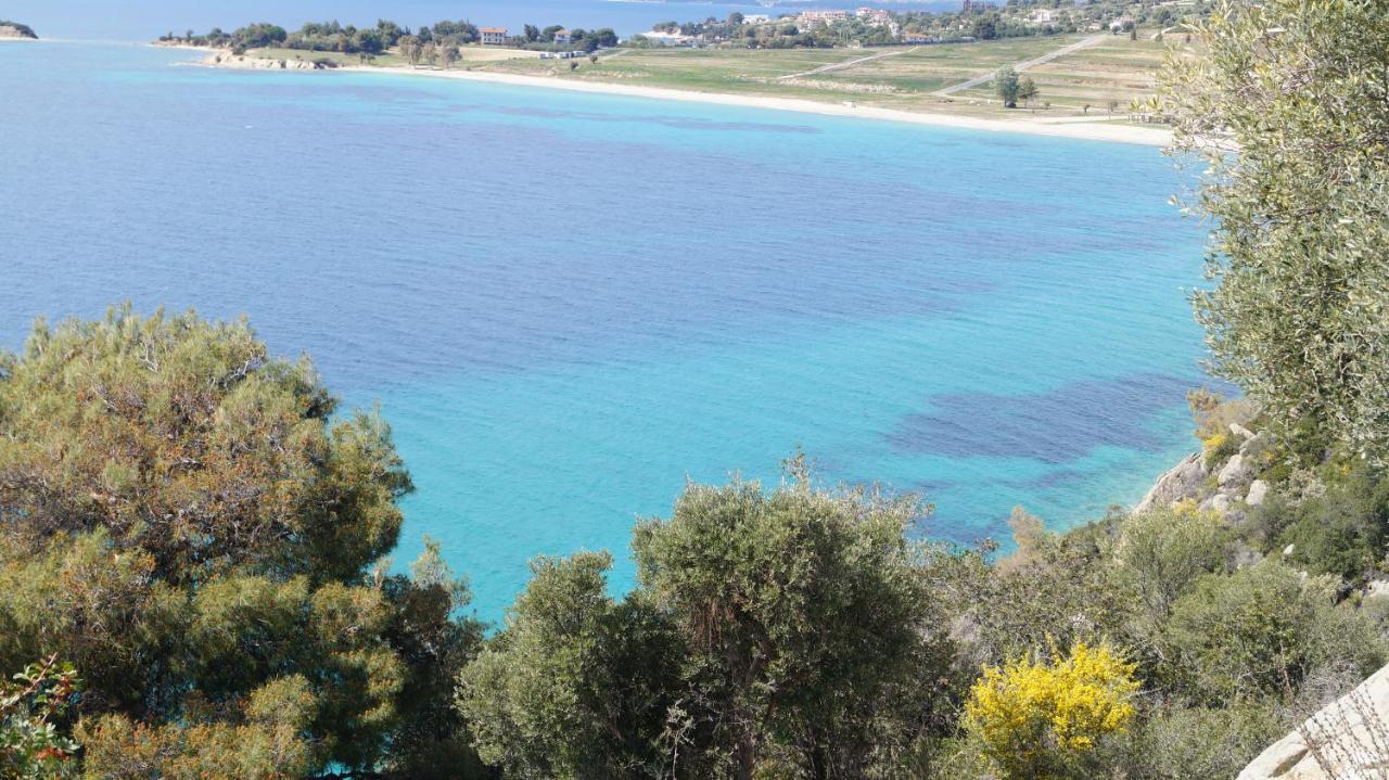 Apartment Pearl Toroni