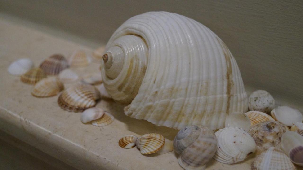 Pearl Apartment
