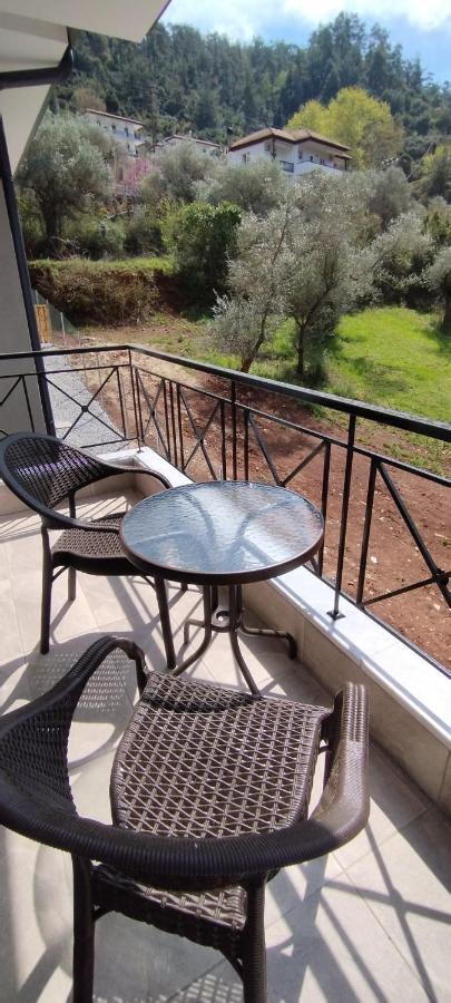 Villa Evergreen Thassos Skala Potamia (Thasos)