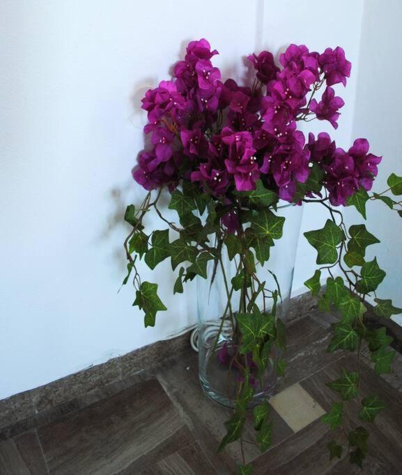 Petalou House Imerovigli (Santorini)