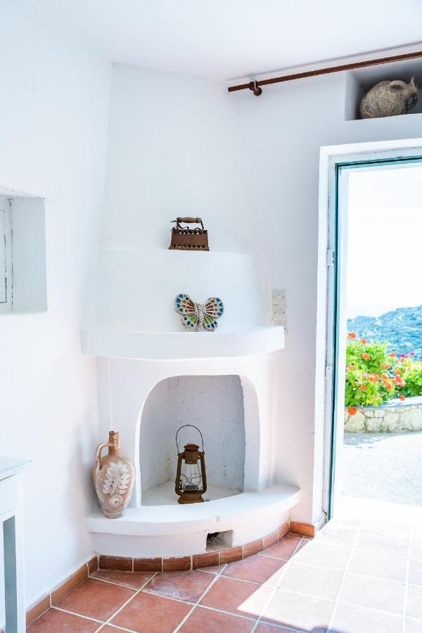 Olive Grove Holiday home