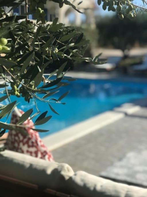 Apartment Relaxing Rural Retreat In Mainland Greece Ermioni