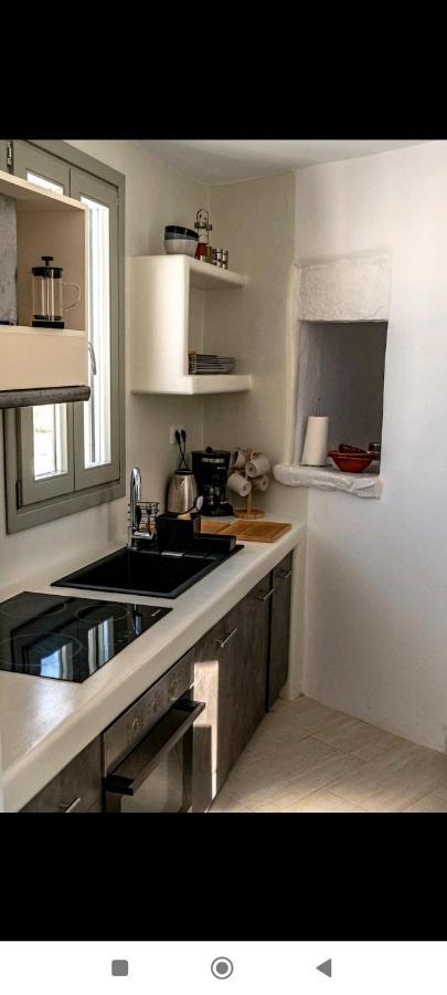 Mikro Kastro Apartment *