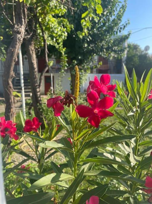 Holiday home Ideal Holidays-ιδανικές εξοχικές διακοπές Agioi Apostoloi (Attica)
