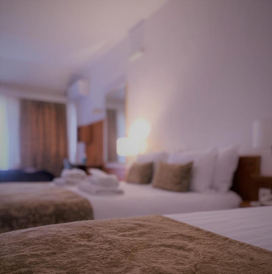 Pantheon Hotel Litochoro