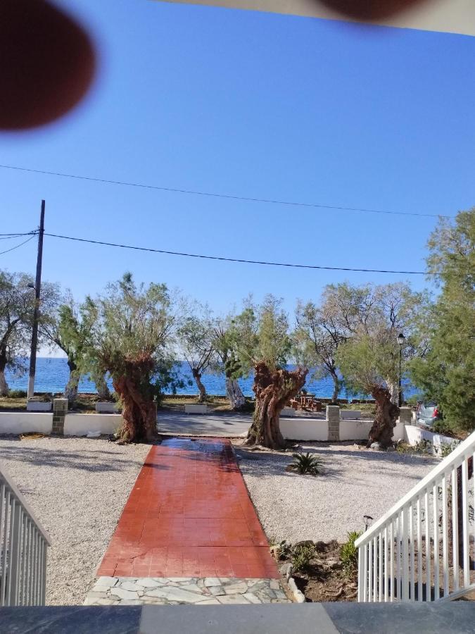 Zorbas Sougia