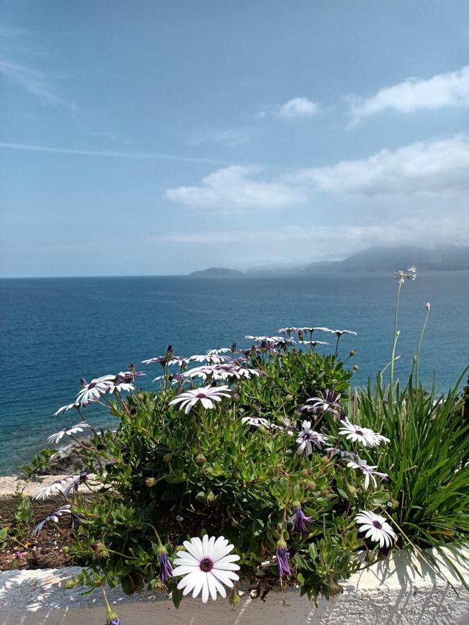 Holiday home Mirabello Sea House *