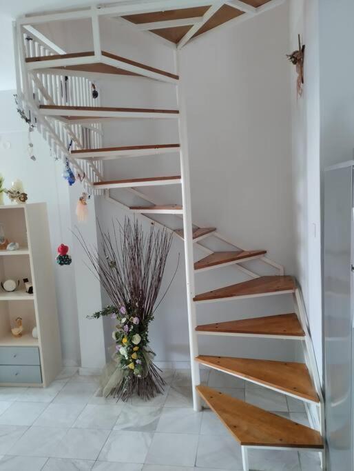 7 Seas House *