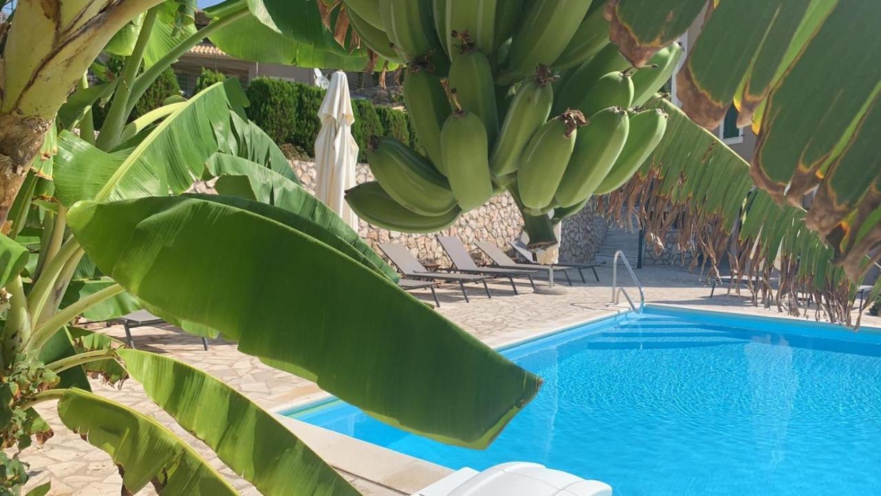 Apartment Katarina Kefalonia - Sea View