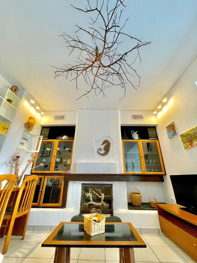 Zografos Guest house
